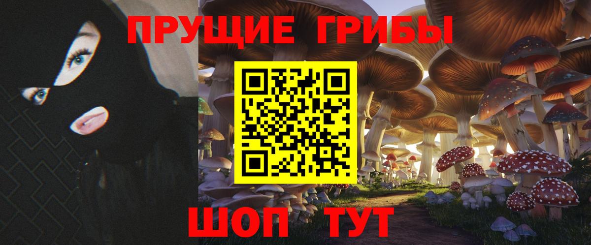 Сарапул  Псилоцибиновые грибы MAGIC MUSHROOMS  Псилоцибиновые грибы Psilocybine cubensis  как найти закладки  Вход с VPN 