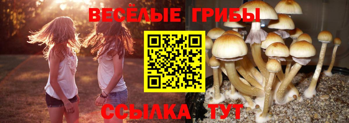 Галлюциногенные грибы мицелий Сарапул